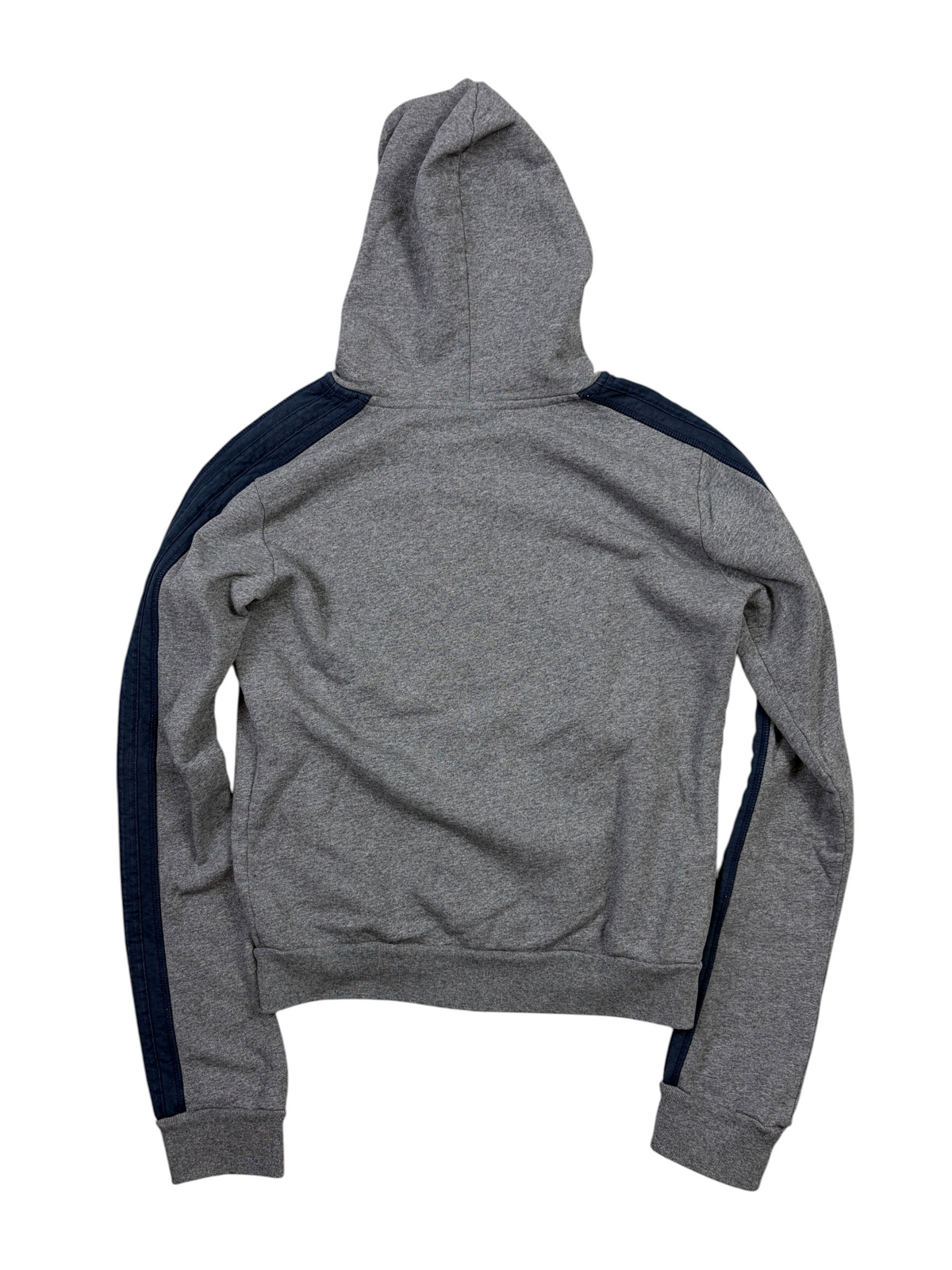 BALENCIAGA SPRING 26 LION CREST ZIP HOODIE