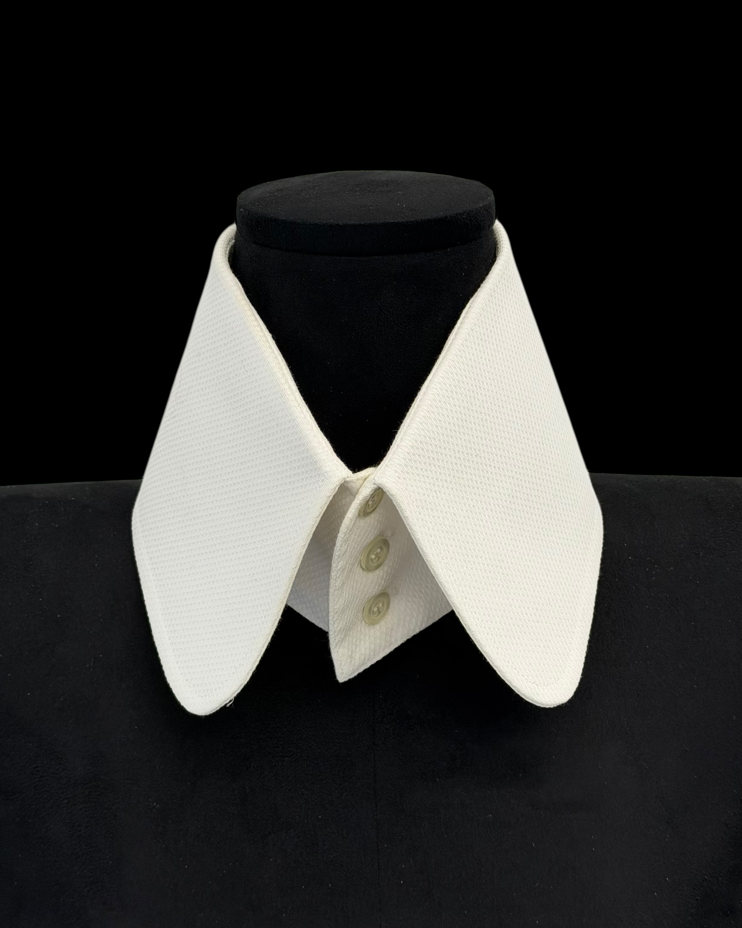 WALTER VAN BEIRENDONCK SS18 CORSET COLLAR